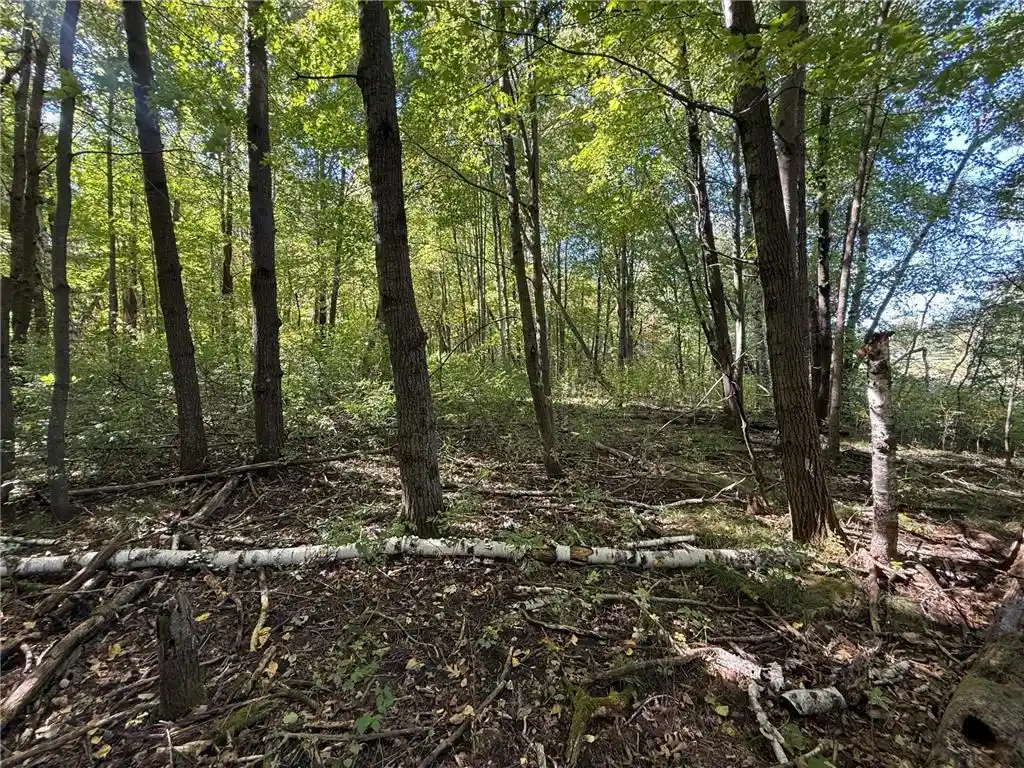 Photo 3 of Land for sale at Tbd 90th Avenue, Amery, WI 54001 | MLS# 7149460 | Listing updated on 2026-10-03