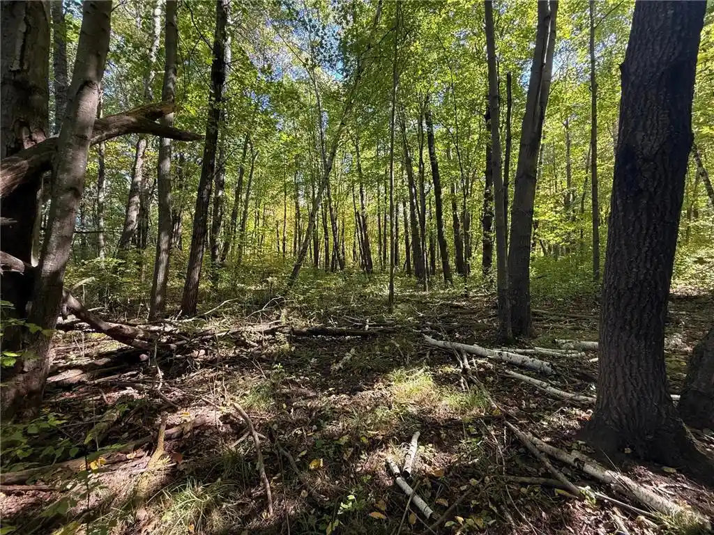 Photo 3 of Land for sale at Tbd 90th Avenue, Amery, WI 54001 | MLS# 7149460 | Listing updated on 2026-10-03
