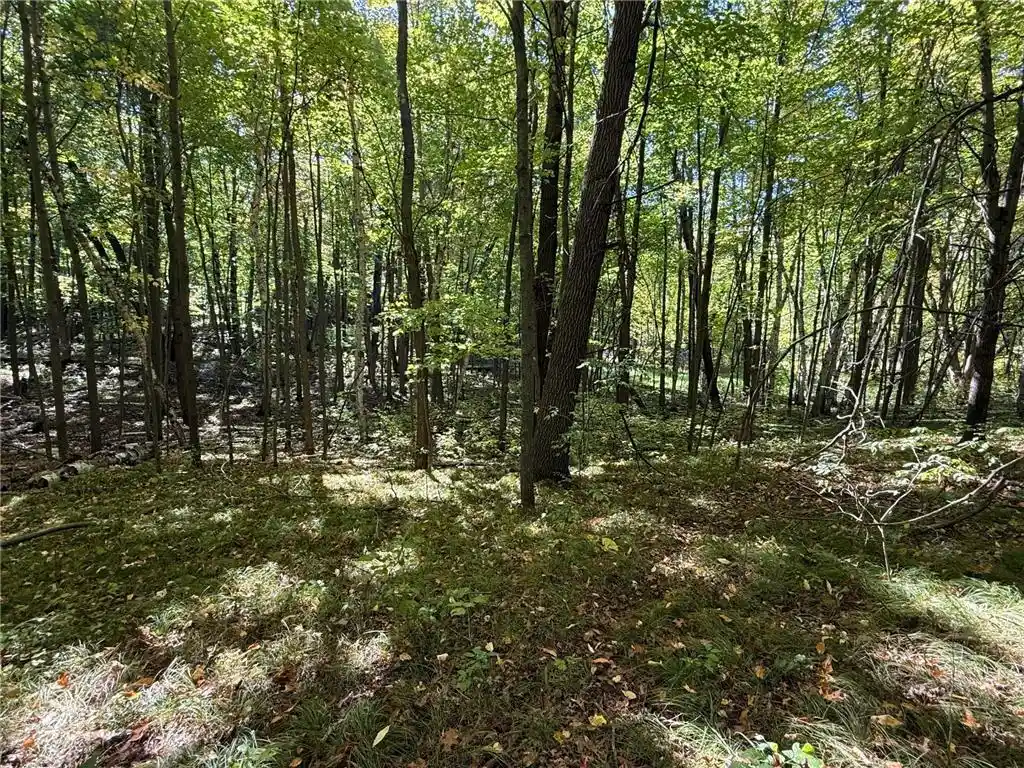 Photo 4 of Land for sale at Tbd 90th Avenue, Amery, WI 54001 | MLS# 7149460 | Listing updated on 2026-10-03