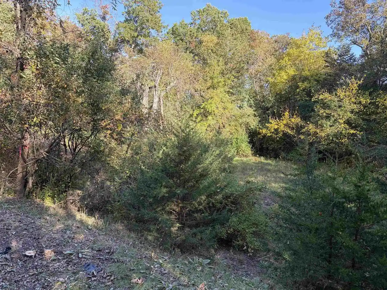 Photo 3 of Land for sale at S4442 Johnson Rd, Baraboo, WI 53913 | MLS# 2033803 | Listing updated on 2026-10-08