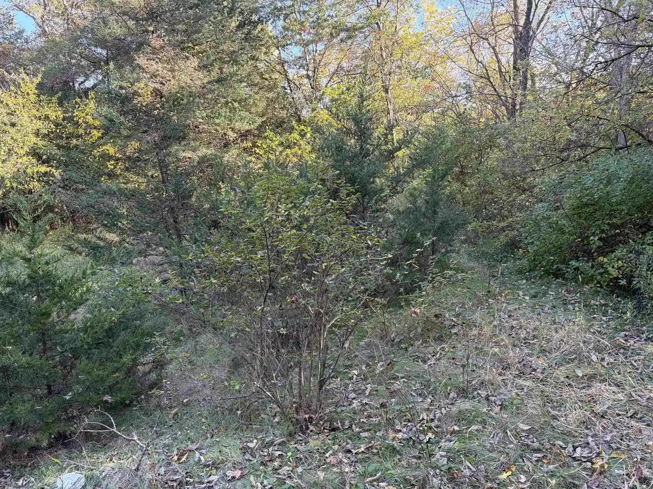 Photo 3 of Land for sale at S4442 Johnson Rd, Baraboo, WI 53913 | MLS# 2033803 | Listing updated on 2026-10-08