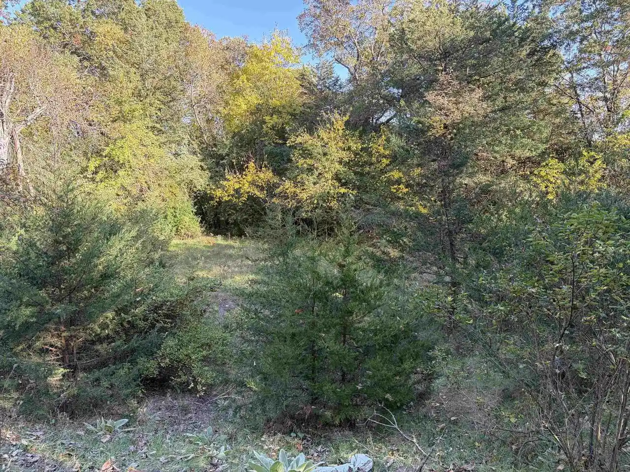 Photo 4 of Land for sale at S4442 Johnson Rd, Baraboo, WI 53913 | MLS# 2033803 | Listing updated on 2026-10-08