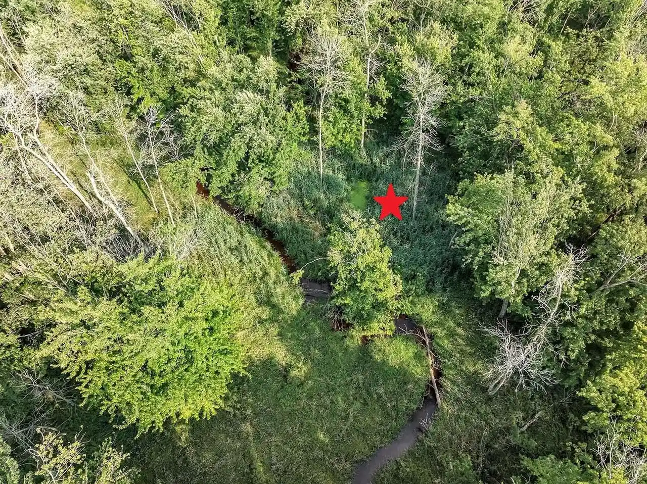 Photo 3 of Land for sale at Wilson Rd, Algoma, WI 54201 | MLS# 50333597 | Listing updated on 2026-10-01