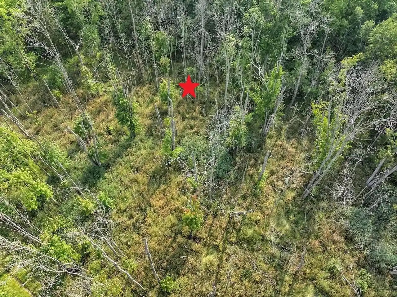 Photo 4 of Land for sale at Wilson Rd, Algoma, WI 54201 | MLS# 50333597 | Listing updated on 2026-10-01