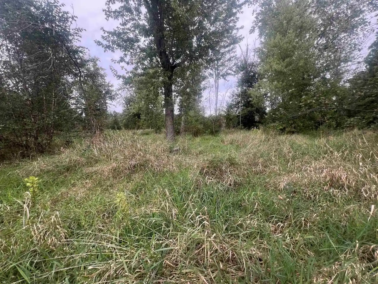 Photo 3 of Land for sale at 584 Acres Hwy 33, Portage, WI 53901 | MLS# 2033831 | Listing updated on 2026-10-01