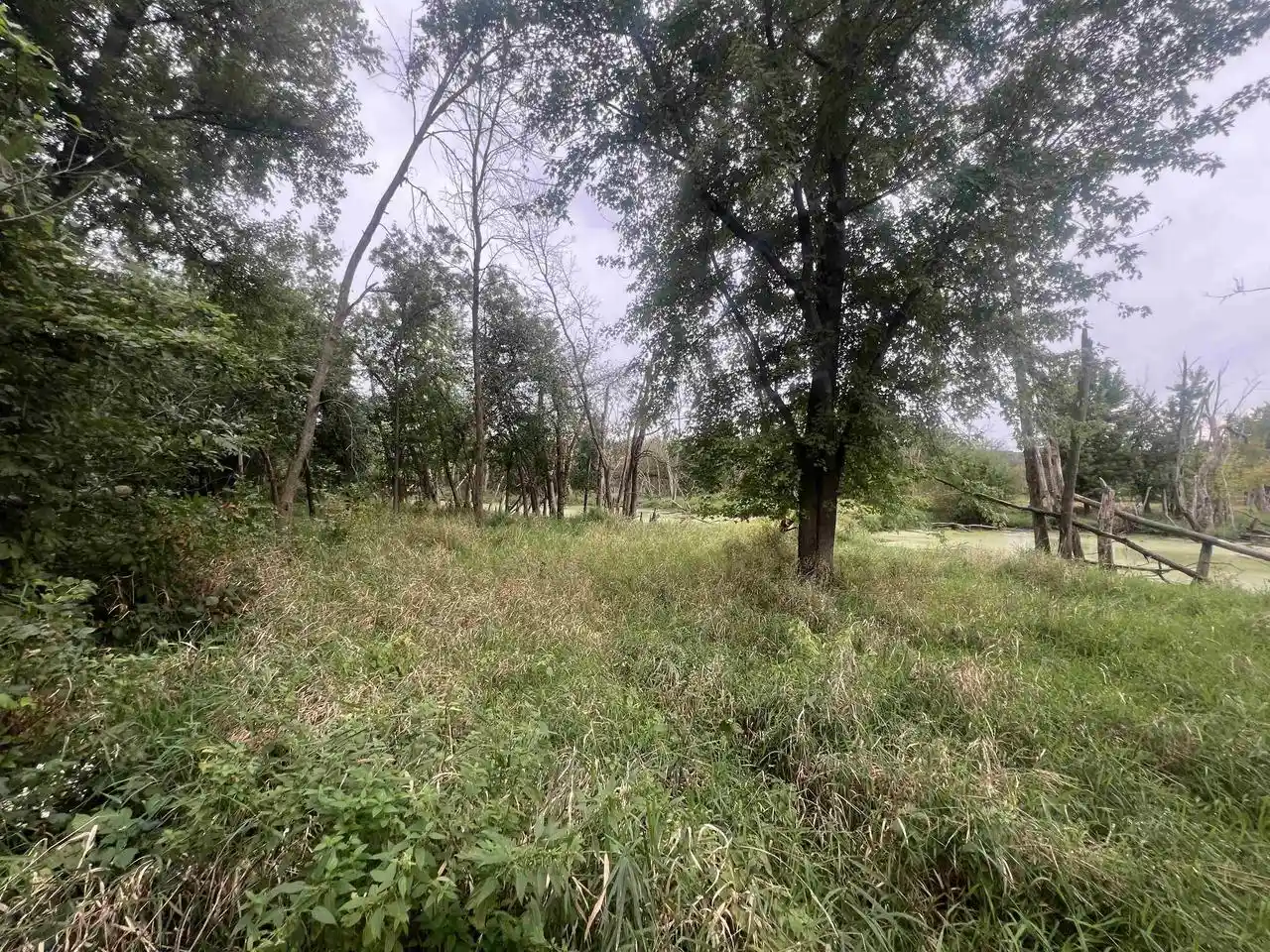 Photo 3 of Land for sale at 584 Acres Hwy 33, Portage, WI 53901 | MLS# 2033831 | Listing updated on 2026-10-01