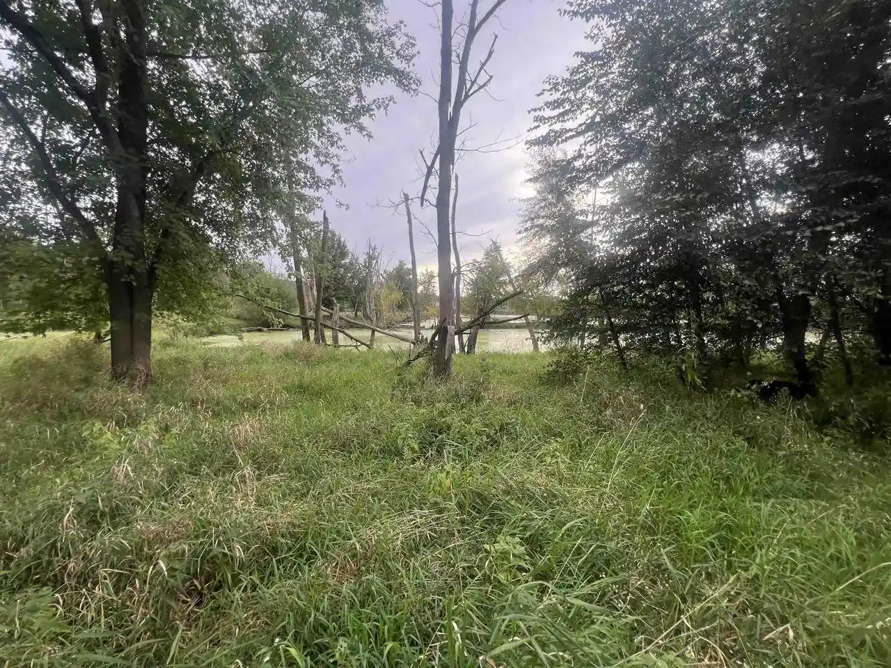 Photo 4 of Land for sale at 584 Acres Hwy 33, Portage, WI 53901 | MLS# 2033831 | Listing updated on 2026-10-01
