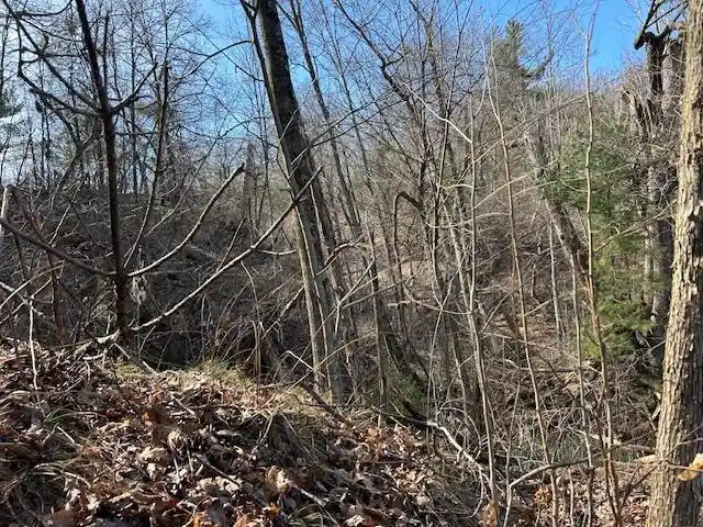 Photo 3 of Land for sale at State Hwy 12, Black River Falls, WI 54615 | MLS# 50333598 | Listing updated on 2026-10-01