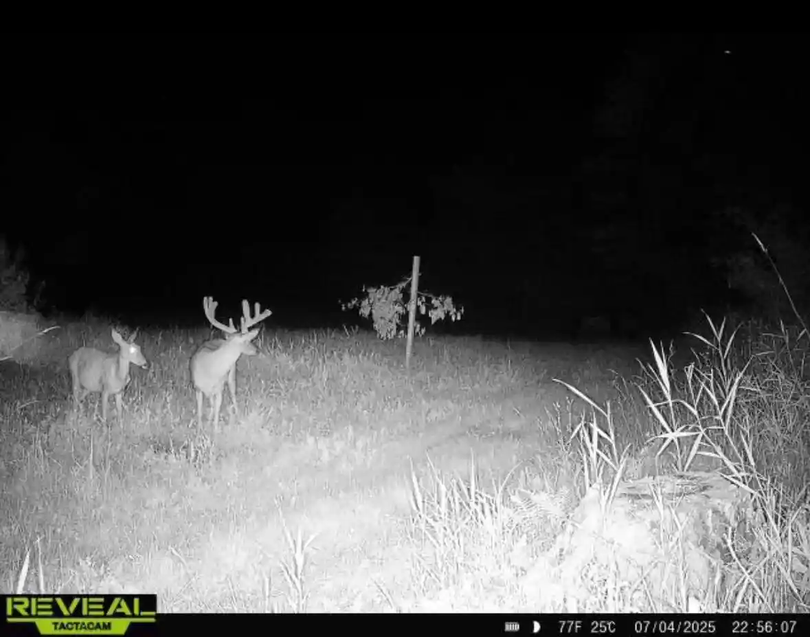 Photo 2 of Land for sale at 0 Sunny Dr, Melrose, WI 54642 | MLS# 1982932 | Listing updated on 2026-10-02