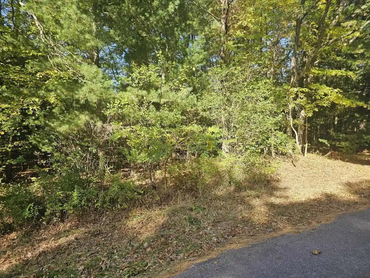 Photo 3 of Land for sale at 00 Grayling Rd, Tomah, WI 54660 | MLS# 2033842 | Listing updated on 2026-10-13