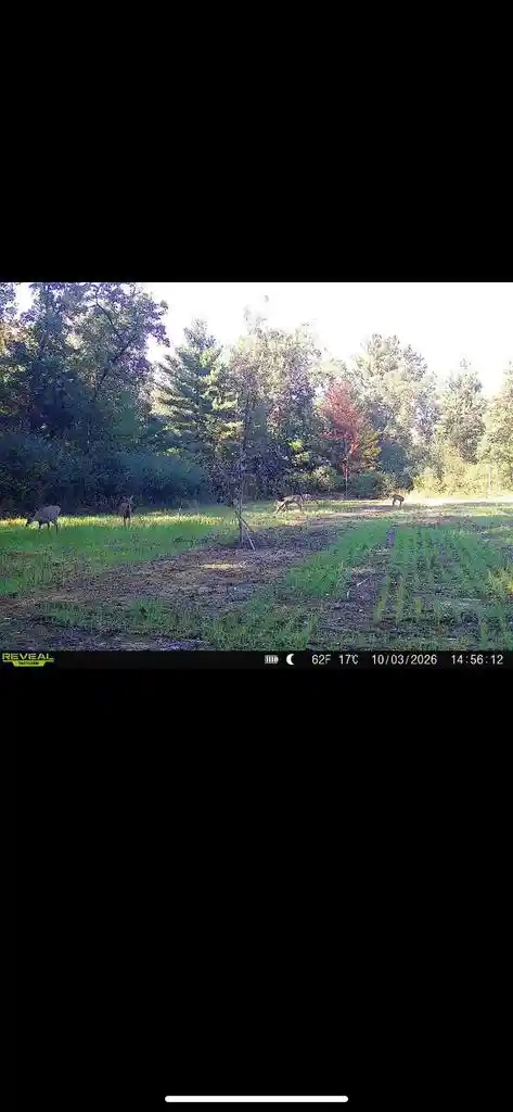 Photo 3 of Land for sale at Lot 2 Grayling Rd, Tomah, WI 54660 | MLS# 2033851 | Listing updated on 2026-10-13