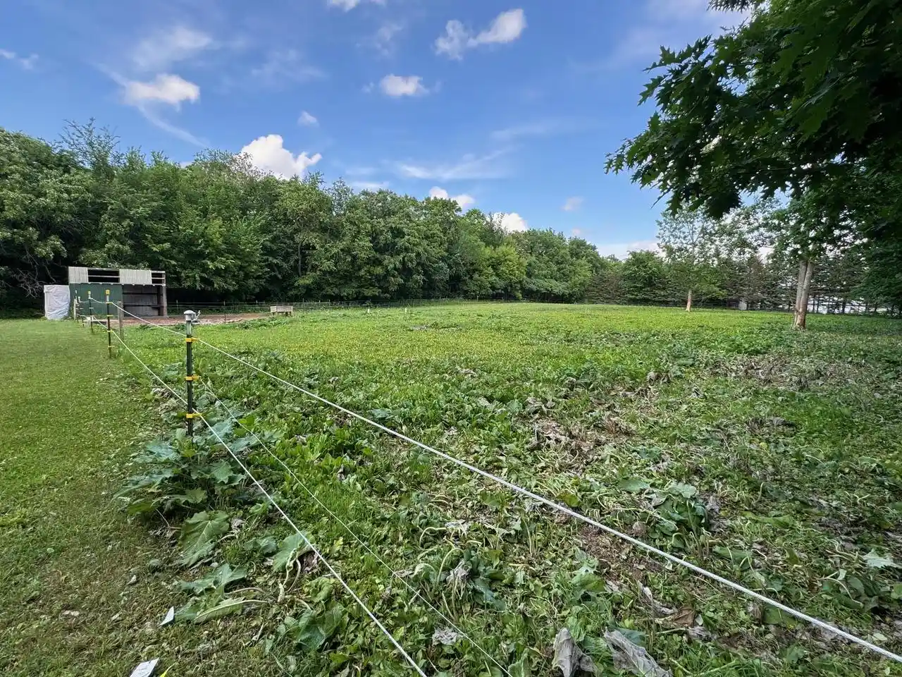 Photo 1 of Land for sale at Lot 0 Schmidt Rd, Cambria, WI 53923 | MLS# 1982969 | Listing updated on 2026-10-02