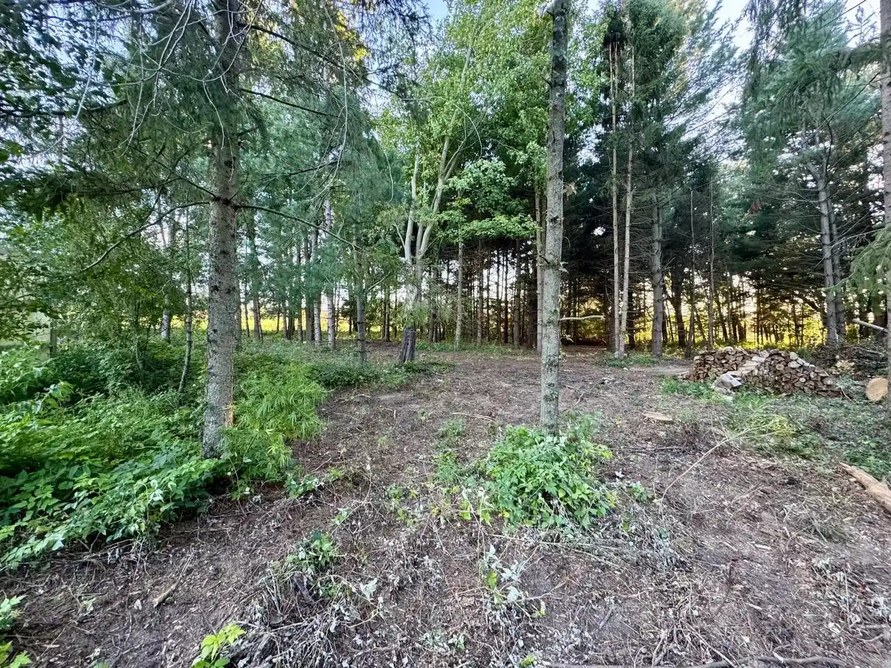 Photo 3 of Single family home for sale at W6550 County Hwy Cm, Pardeeville, WI 53954 | MLS# 1983000 | Listing updated on 2026-10-01