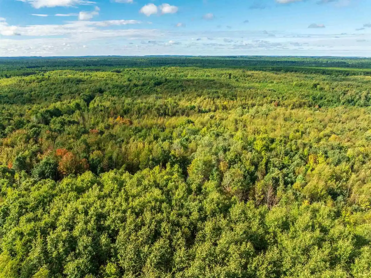 Photo 1 of Land for sale at 20474 Ac Channey Rd Acres, Augusta, WI 54729 | MLS# 2033870 | Listing updated on 2026-10-01