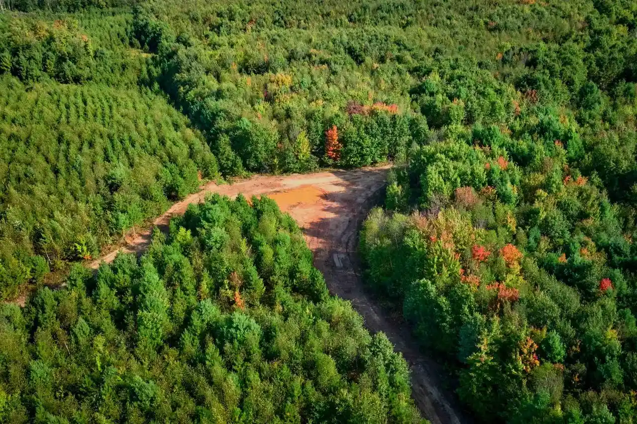 Photo 3 of Land for sale at 20474 Ac Channey Rd Acres, Augusta, WI 54729 | MLS# 2033870 | Listing updated on 2026-10-01