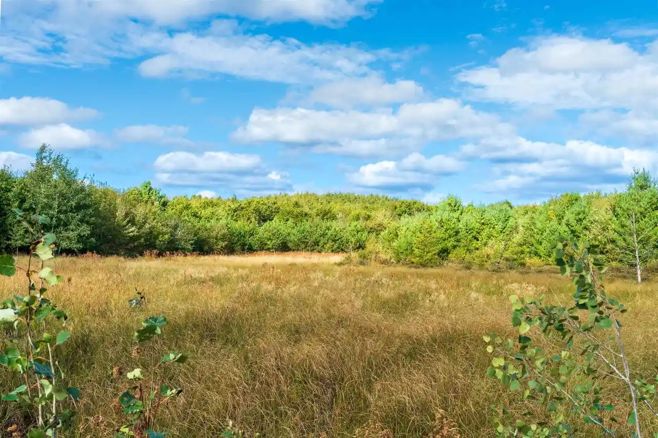 Photo 2 of Land for sale at 369+/  Ac Channey Rd Acres, Augusta, WI 54729 | MLS# 2033869 | Listing updated on 2026-10-01