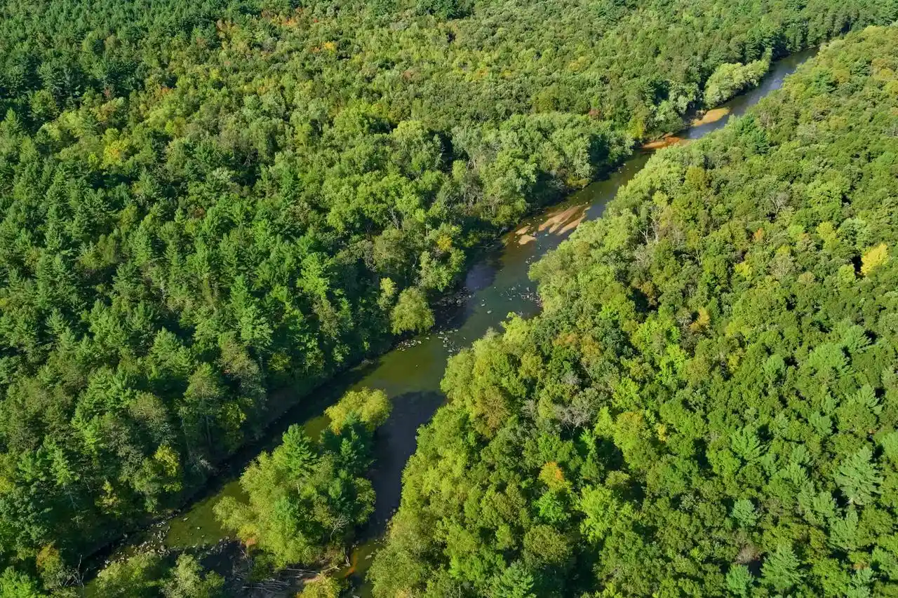 Photo 1 of Land for sale at 200ac Channey Rd Acres, Augusta, WI 54729 | MLS# 2033871 | Listing updated on 2026-10-01