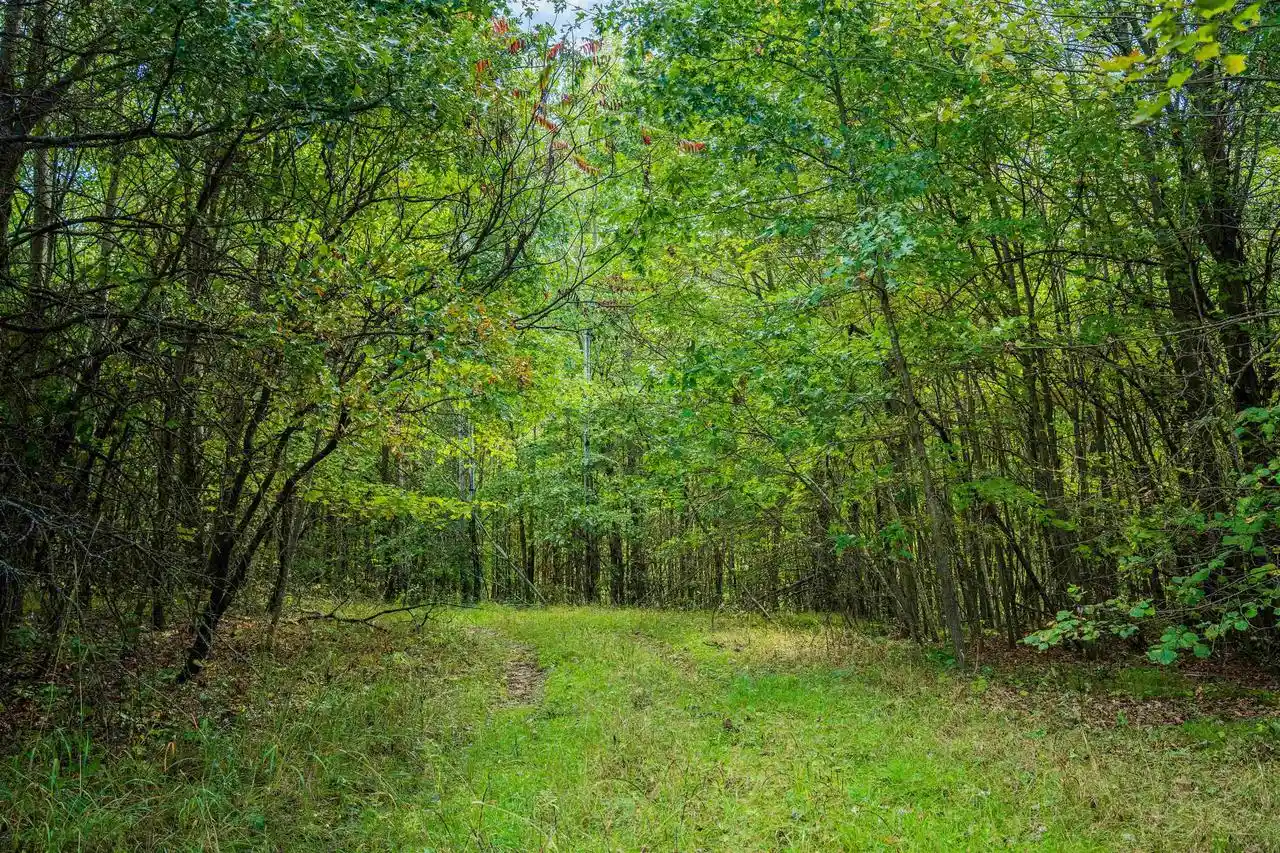 Photo 4 of Land for sale at 200ac Channey Rd Acres, Augusta, WI 54729 | MLS# 2033871 | Listing updated on 2026-10-01