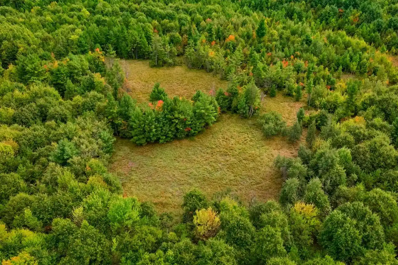 Photo 1 of Land for sale at 84+/  Ac Horse Crk Rd Acres, Augusta, WI 54729 | MLS# 2033872 | Listing updated on 2026-10-01