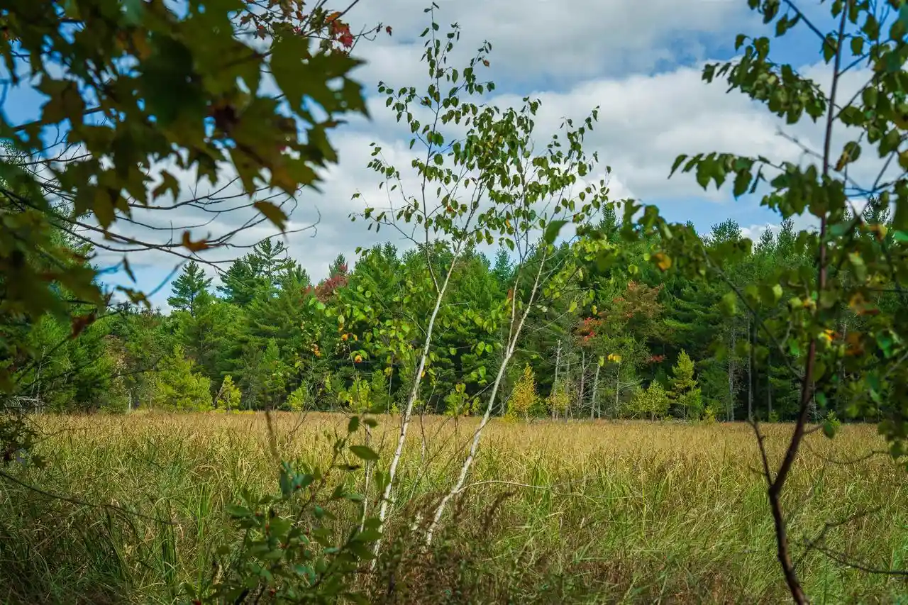 Photo 2 of Land for sale at 84+/  Ac Horse Crk Rd Acres, Augusta, WI 54729 | MLS# 2033872 | Listing updated on 2026-10-01