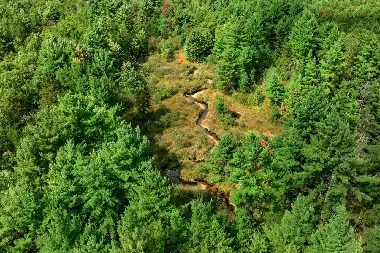 Photo 1 of Land for sale at 160+/  Ac Goat Ranch Rd Acres, Augusta, WI 54729 | MLS# 2033874 | Listing updated on 2026-10-01