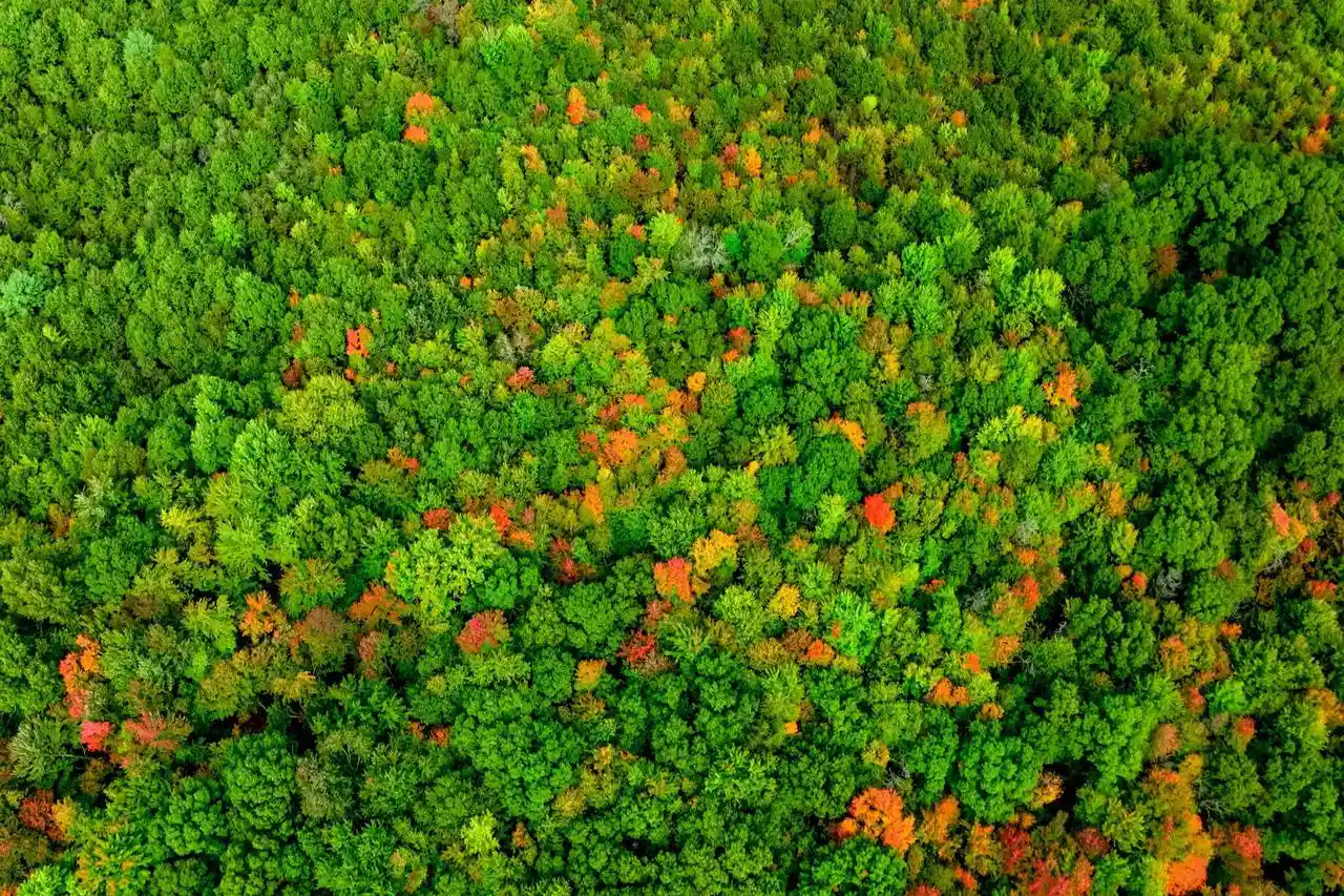 Photo 2 of Land for sale at 160+/  Ac Goat Ranch Rd Acres, Augusta, WI 54729 | MLS# 2033874 | Listing updated on 2026-10-01