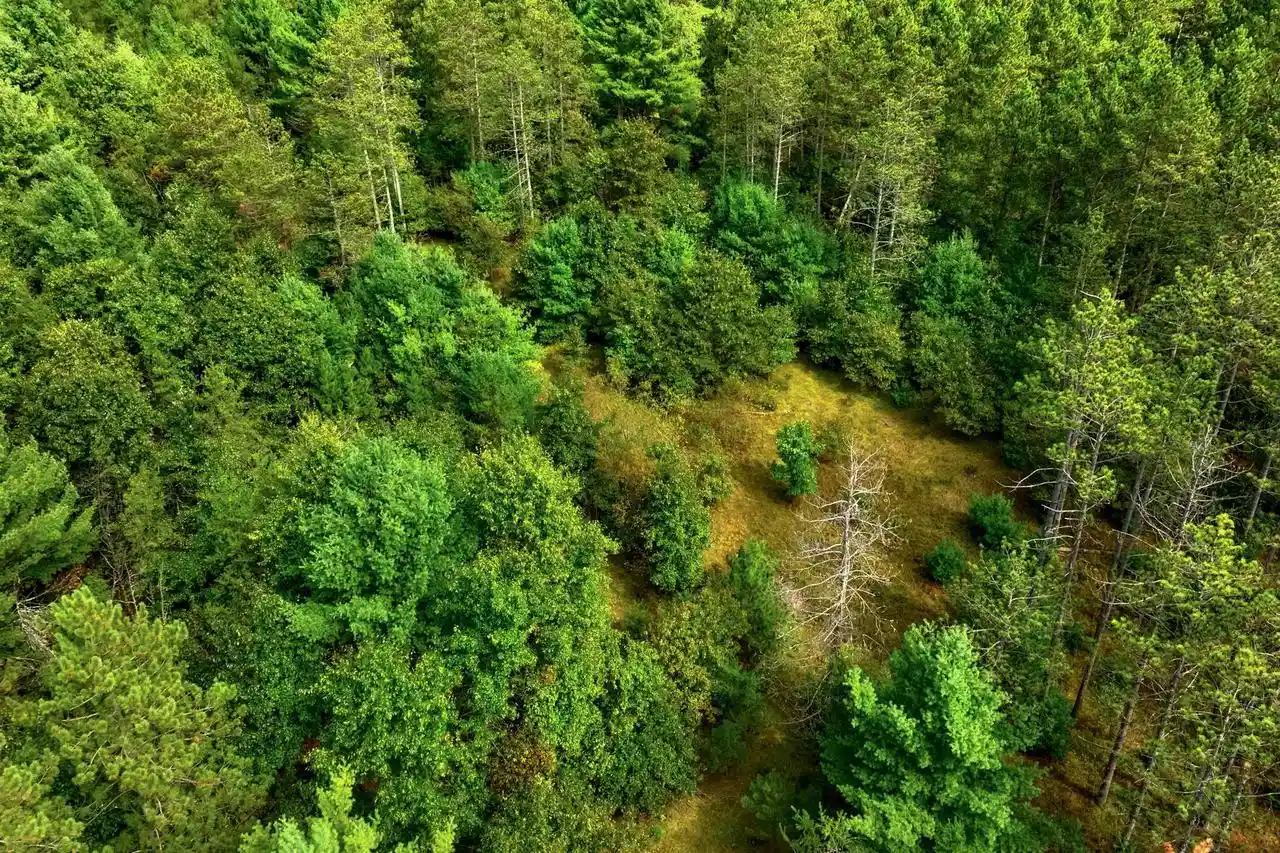 Photo 3 of Land for sale at 160+/  Ac Goat Ranch Rd Acres, Augusta, WI 54729 | MLS# 2033874 | Listing updated on 2026-10-01