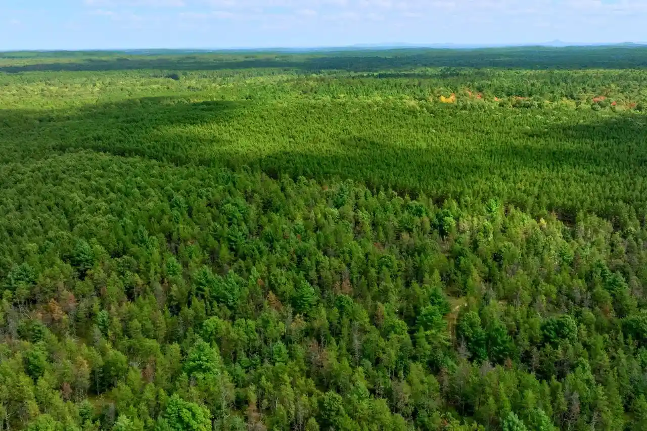 Photo 2 of Land for sale at 43+/  Ac Horse Crk Rd Acres, Augusta, WI 54729 | MLS# 2033877 | Listing updated on 2026-10-01