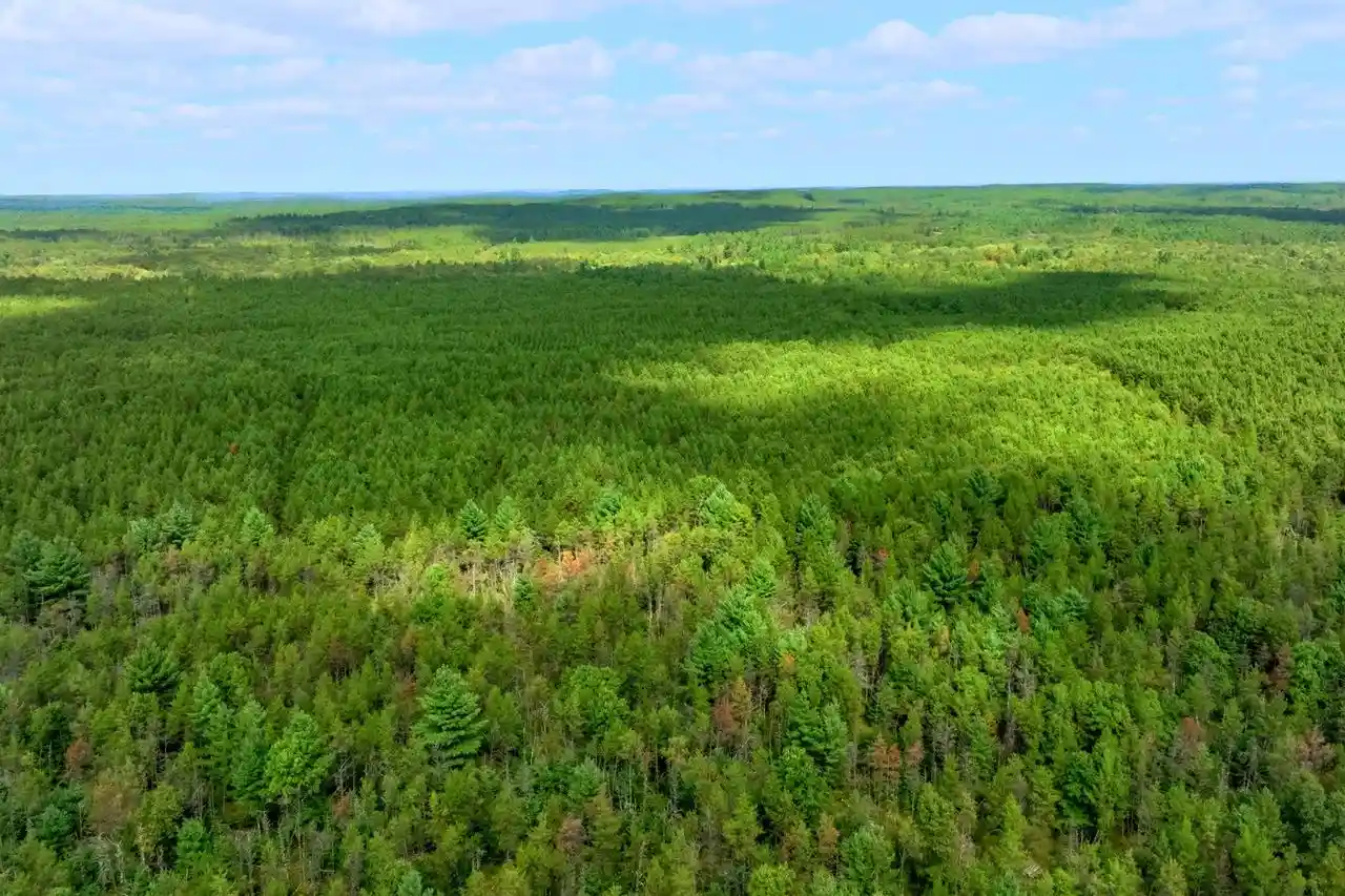 Photo 3 of Land for sale at 43+/  Ac Horse Crk Rd Acres, Augusta, WI 54729 | MLS# 2033877 | Listing updated on 2026-10-01