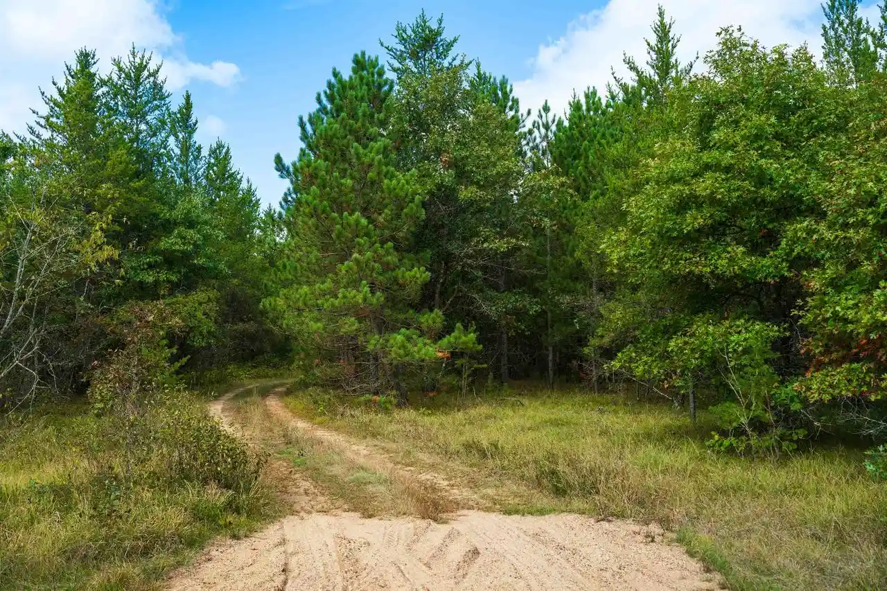 Photo 4 of Land for sale at 43+/- Ac Horse Crk Rd Acres, Augusta, WI 54729 | MLS# 2033877 | Listing updated on 2026-10-01