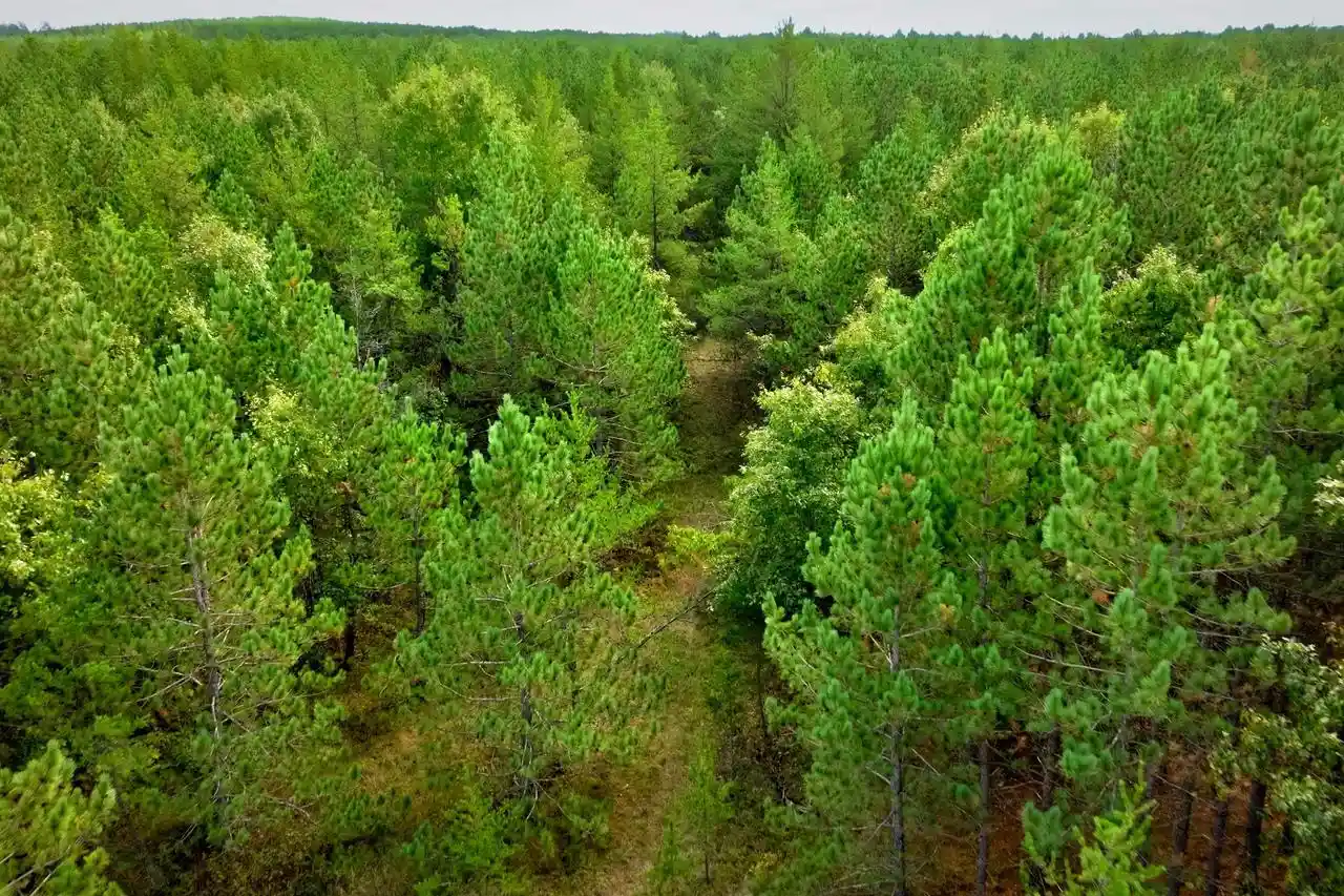 Photo 2 of Land for sale at 80+/  Ac County Rd H/horse Crk Acres, Augusta, WI 54729 | MLS# 2033878 | Listing updated on 2026-10-01