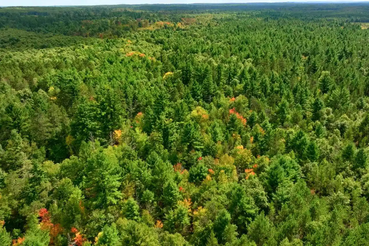 Photo 3 of Land for sale at 80+/  Ac County Rd H/horse Crk Acres, Augusta, WI 54729 | MLS# 2033878 | Listing updated on 2026-10-01