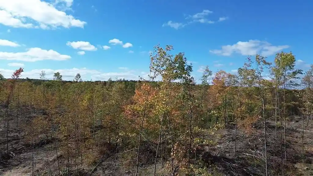 Photo 2 of Land for sale at 127xx Fairman Ln, Exeland, WI 54835 | MLS# 1605618 | Listing updated on 2026-10-02