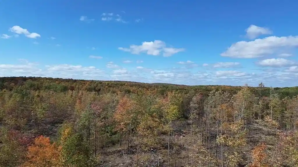 Photo 3 of Land for sale at 127xx Fairman Ln, Exeland, WI 54835 | MLS# 1605618 | Listing updated on 2026-10-02