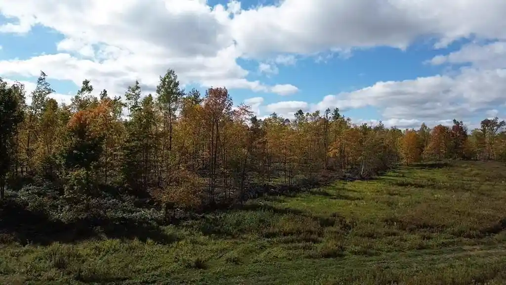 Photo 1 of Land for sale at 126xx Fairman Ln, Exeland, WI 54835 | MLS# 1605594 | Listing updated on 2026-10-02