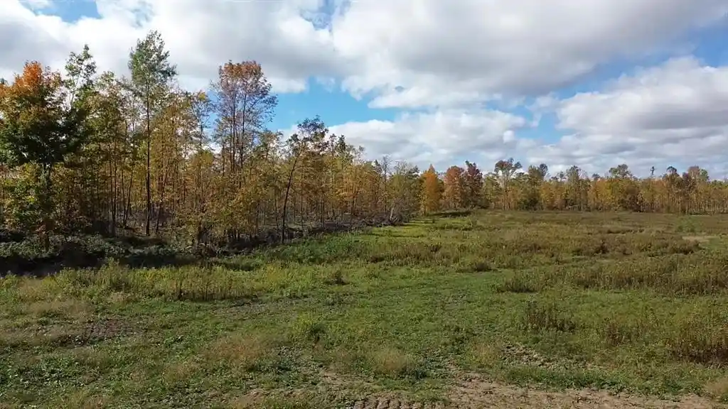 Photo 3 of Land for sale at 126xx Fairman Ln, Exeland, WI 54835 | MLS# 1605594 | Listing updated on 2026-10-02