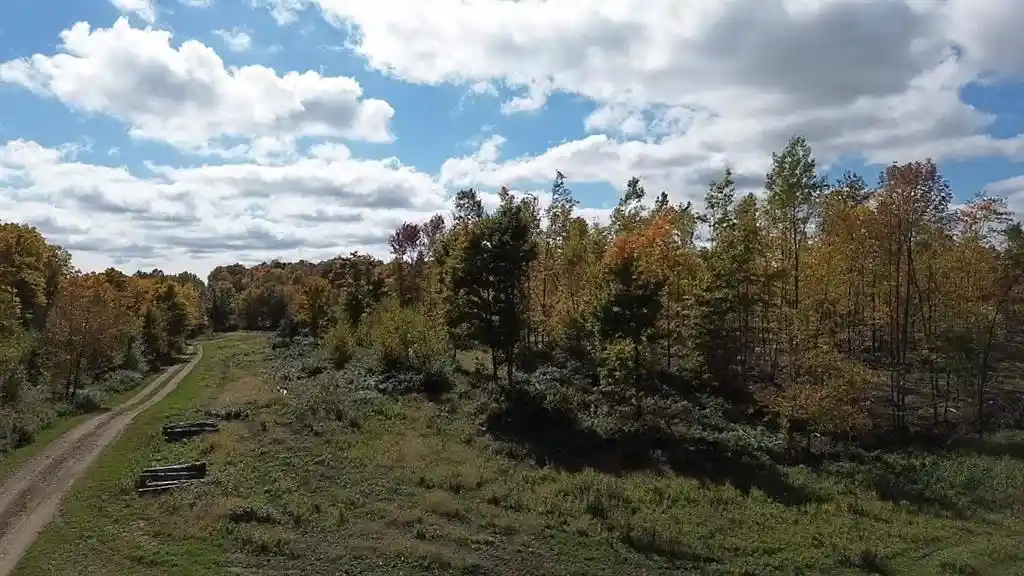Photo 3 of Land for sale at 126xx Fairman Ln, Exeland, WI 54835 | MLS# 1605594 | Listing updated on 2026-10-02