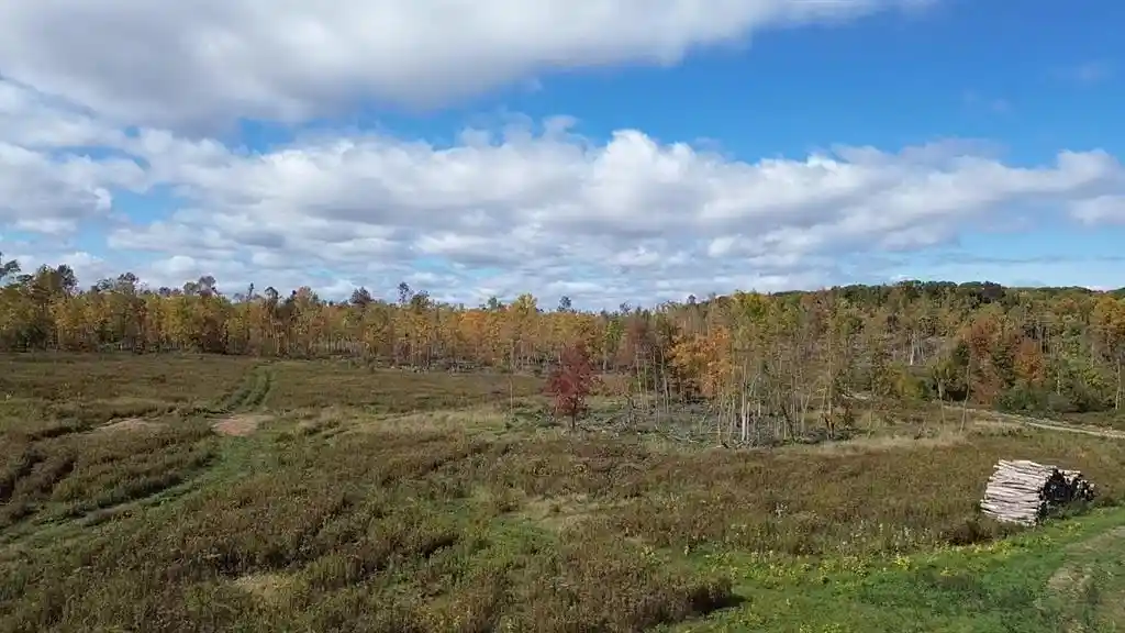 Photo 4 of Land for sale at 126xx Fairman Ln, Exeland, WI 54835 | MLS# 1605594 | Listing updated on 2026-10-02