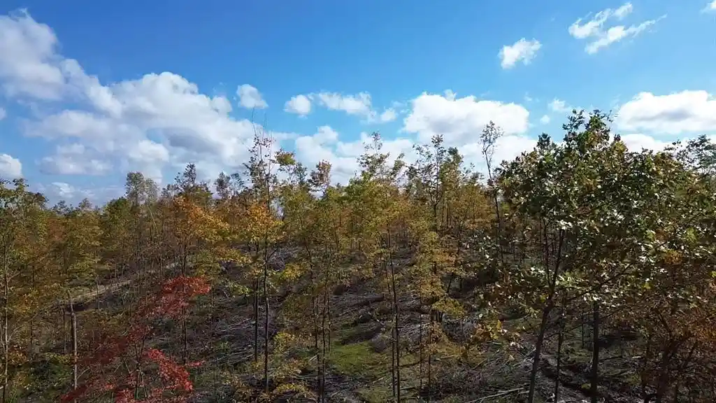 Photo 2 of Land for sale at 125xx Fairman Ln, Exeland, WI 54835 | MLS# 1605615 | Listing updated on 2026-10-02