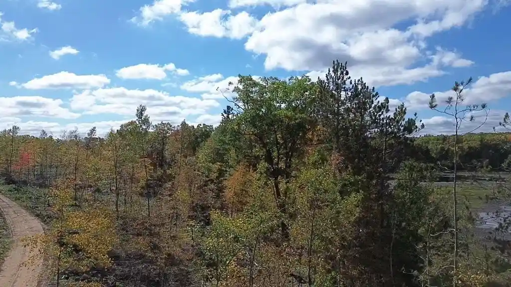 Photo 3 of Land for sale at 125xx Fairman Ln, Exeland, WI 54835 | MLS# 1605615 | Listing updated on 2026-10-02