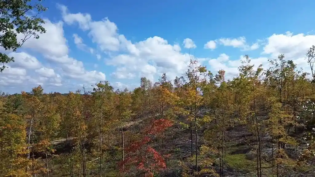 Photo 3 of Land for sale at 125xx Fairman Ln, Exeland, WI 54835 | MLS# 1605615 | Listing updated on 2026-10-02