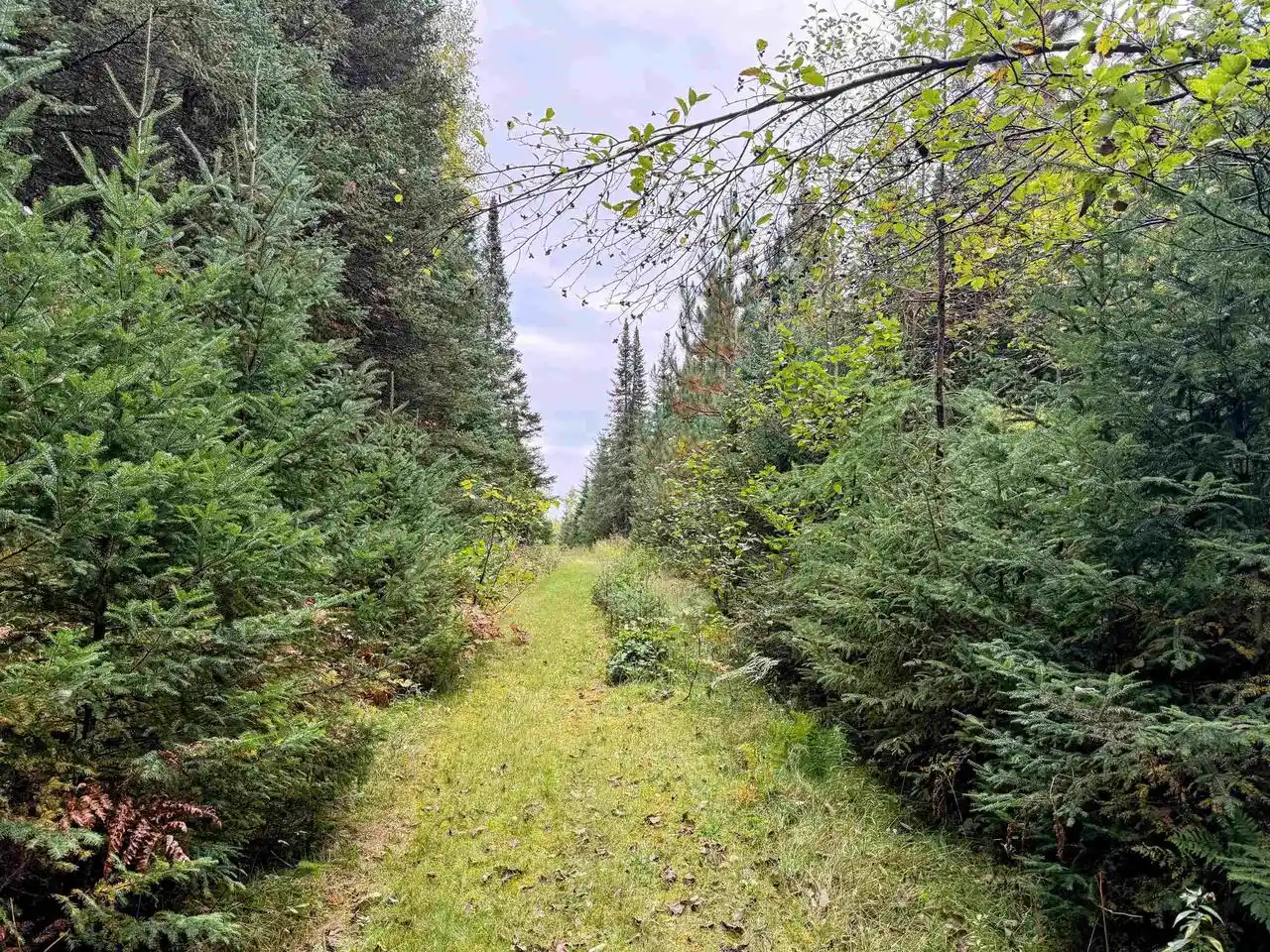 Photo 3 of Single family home for sale at N16340 State Hwy 13, Butternut, WI 54514 | MLS# 22604894 | Listing updated on 2026-10-02