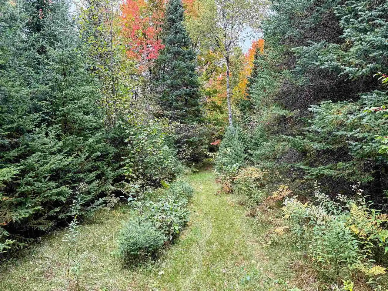 Photo 3 of Single family home for sale at N16340 State Hwy 13, Butternut, WI 54514 | MLS# 22604894 | Listing updated on 2026-10-02