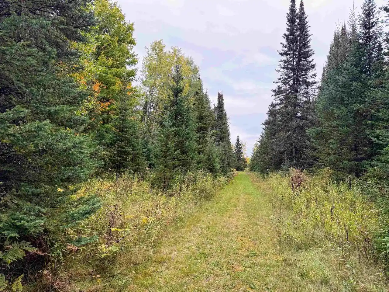 Photo 4 of Single family home for sale at N16340 State Hwy 13, Butternut, WI 54514 | MLS# 22604894 | Listing updated on 2026-10-02