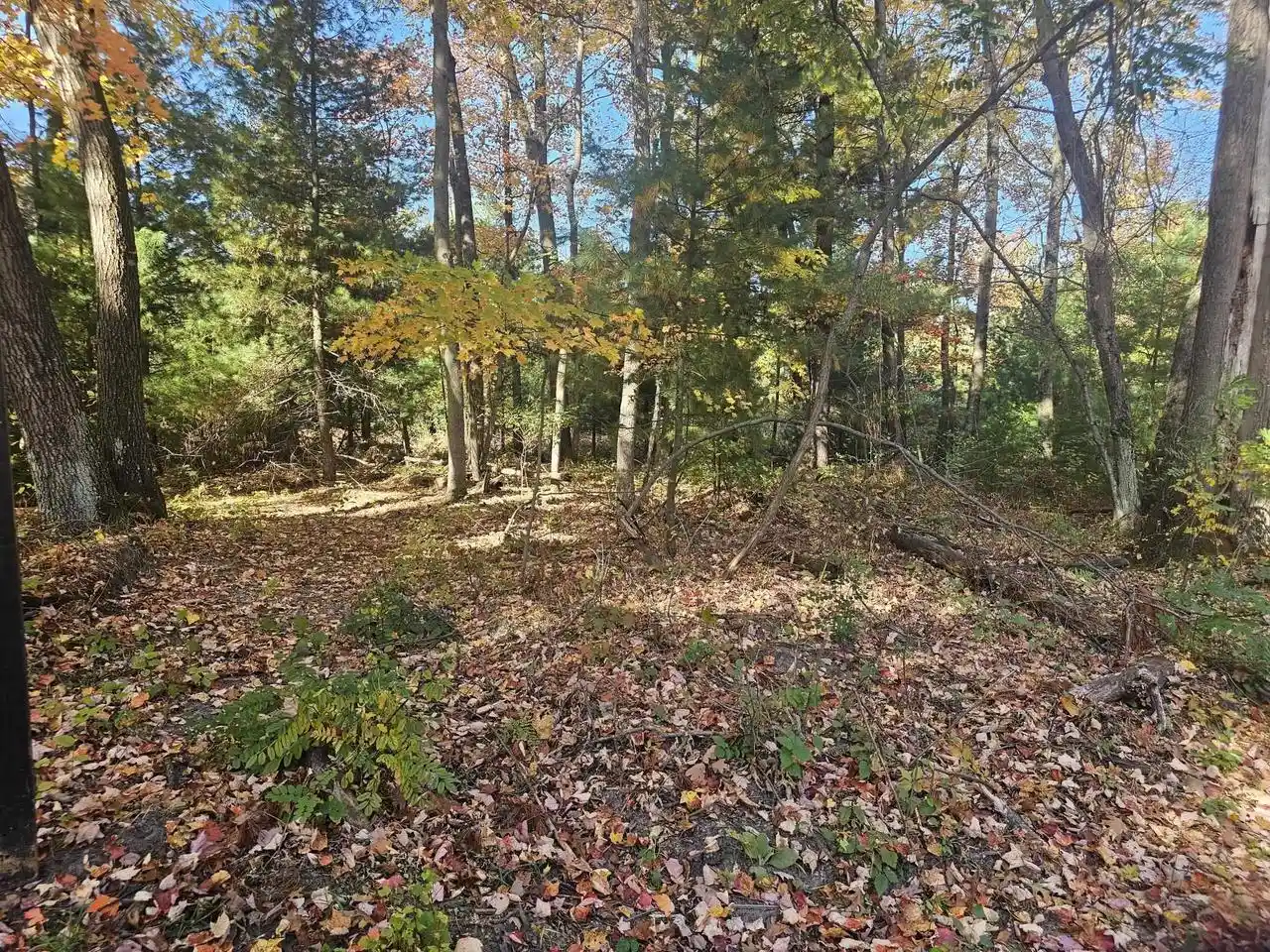 Photo 4 of Land for sale at Lot 4 Grayling Rd, Tomah, WI 54660 | MLS# 2033889 | Listing updated on 2026-10-13