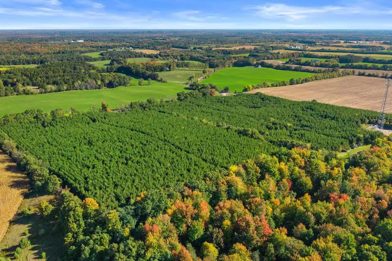 Photo 3 of Land for sale at Lot 2 Merryland Dr, Custer, WI 54423 | MLS# 22604903 | Listing updated on 2026-10-02