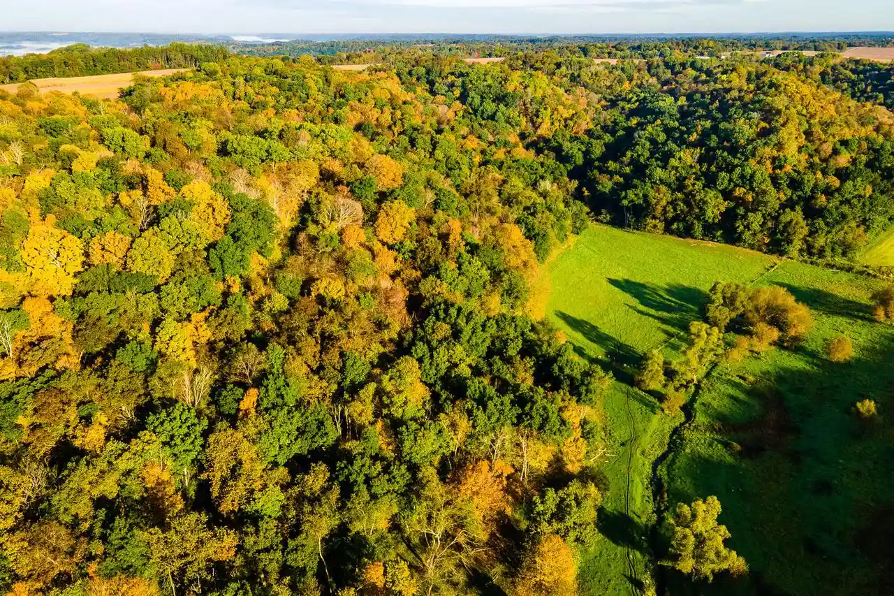 Photo 1 of Land for sale at Lt0 County Hwy Nn, Richland Center, WI 53581 | MLS# 1983076 | Listing updated on 2026-10-02