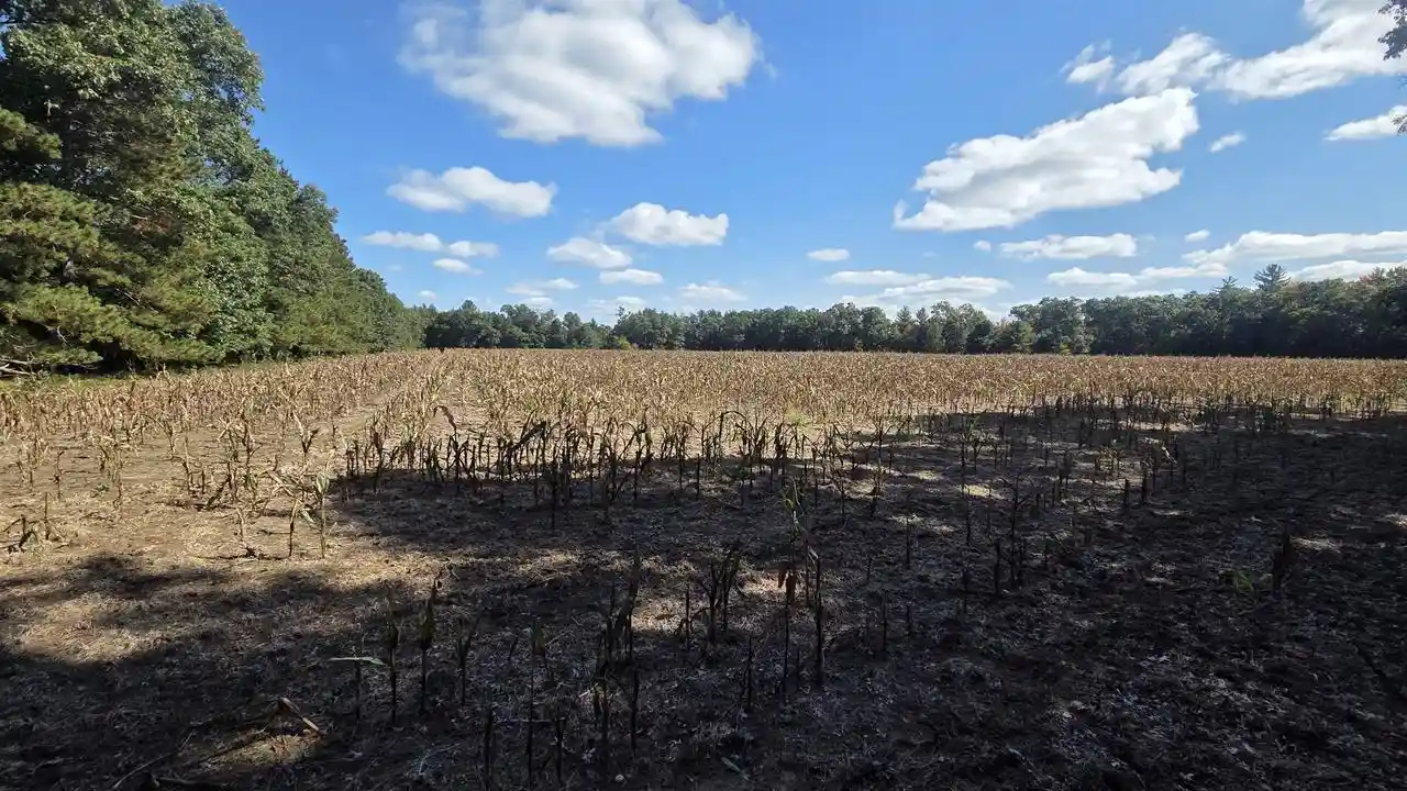 Photo 1 of Land for sale at Cty Rd Z, Westfield, WI 53964 | MLS# 2033900 | Listing updated on 2026-10-02