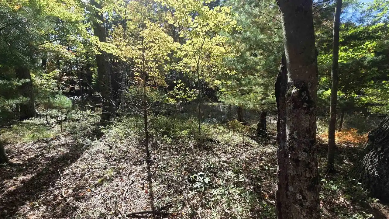 Photo 2 of Land for sale at Cty Rd Z, Westfield, WI 53964 | MLS# 2033900 | Listing updated on 2026-10-02