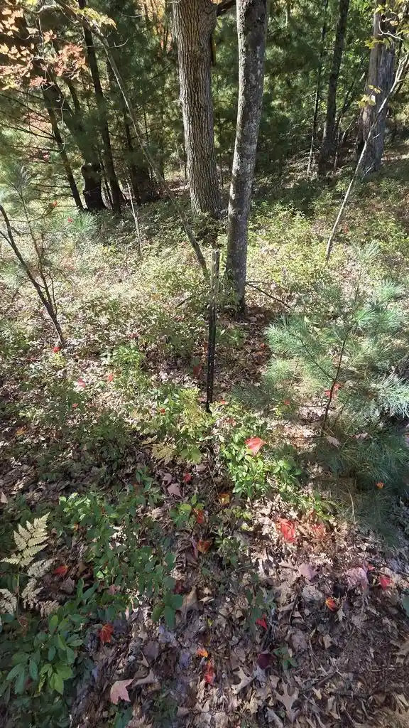 Photo 3 of Land for sale at Cty Rd Z, Westfield, WI 53964 | MLS# 2033900 | Listing updated on 2026-10-02